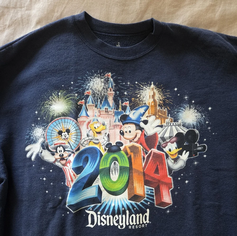 Vintage 2014 Disneyland Resort Sweatshirt, Large Unisex Adult Navy